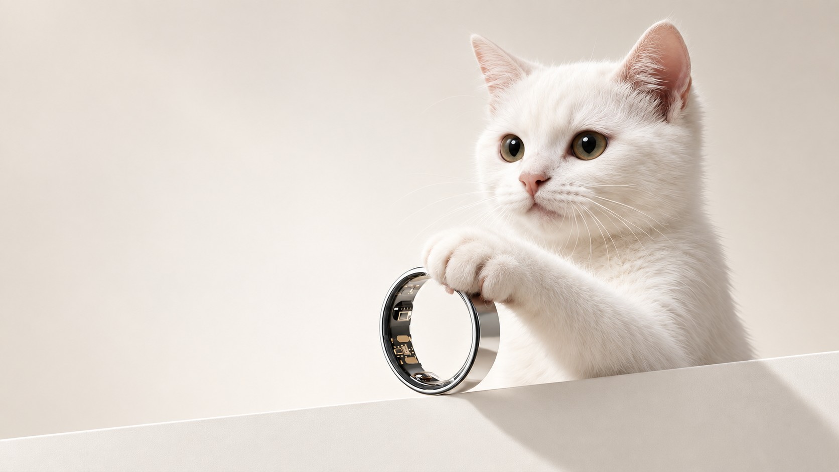 A white kitten holding a Soul Vibe Ring, sensors visible on the inner band